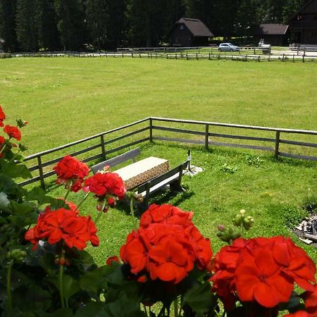 Villa Pocitniska Hisa Jurcek Pokljuka Goreljek Exterior foto