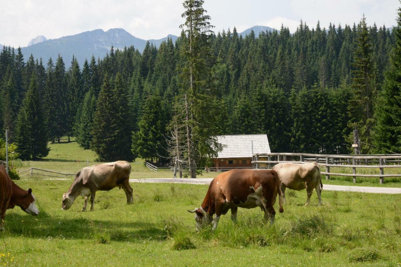Villa Pocitniska Hisa Jurcek Pokljuka Goreljek Exterior foto